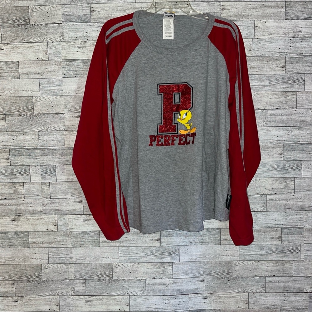 Y2K 90s Looney Tunes long sleeve pullover size 26/28W